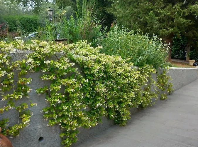 Poggio Gherardo Florens
