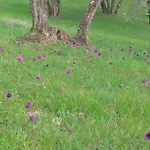 Apartman Poggio Gherardo *