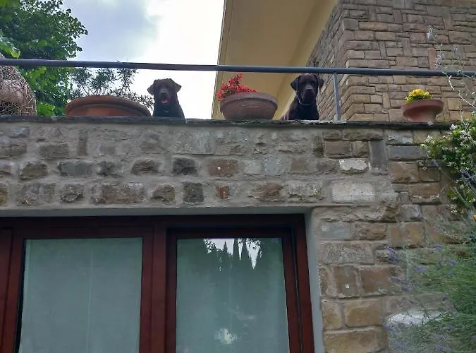 Poggio Gherardo Апартаменты *